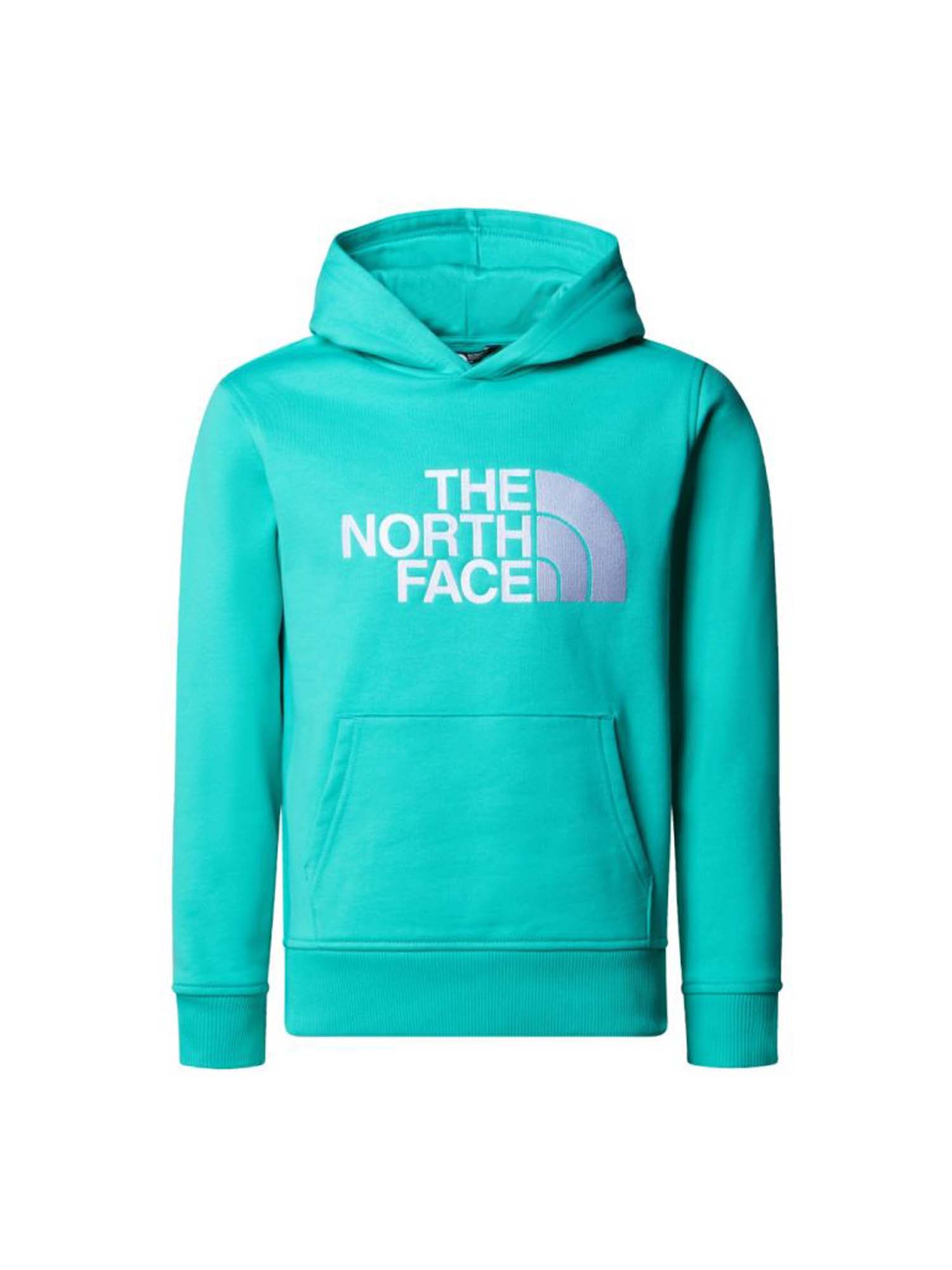 THE NORTH FACE B drew peak p/o hoodie