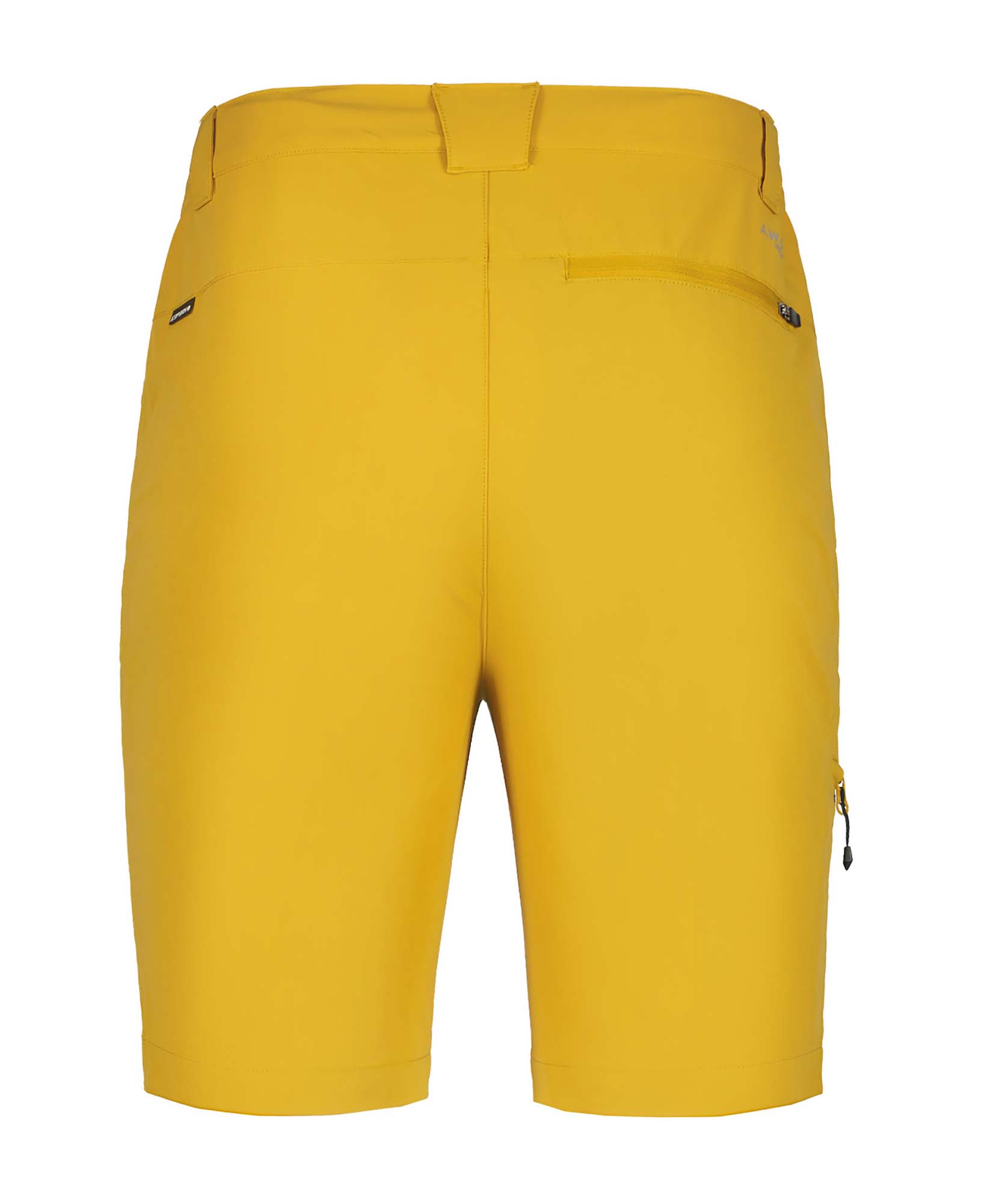 ICEPEAK Berwyn Shorts Heren