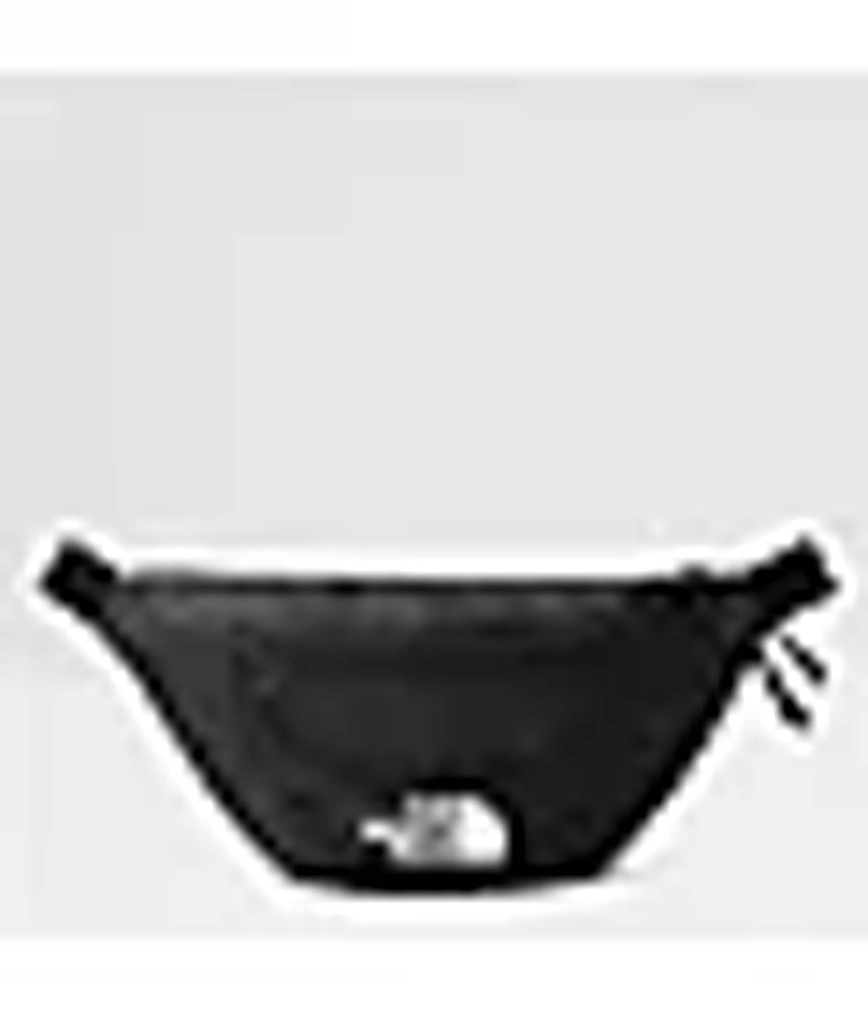 THE NORTH FACE Jester Lumbar