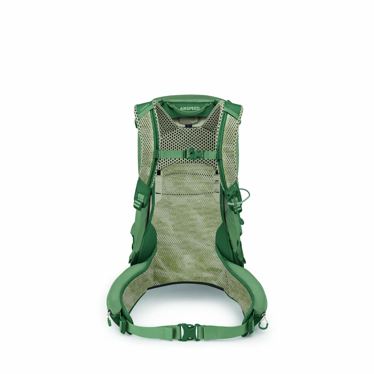 Stratos24 s26 back pineleafgreen 10007528