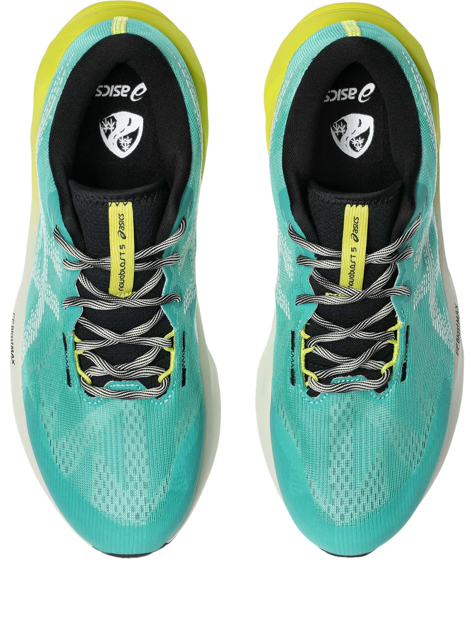 ASICS Novablast 5 TR Hardloopschoenen Heren