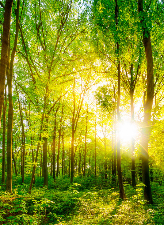 Word member bij Van Duinkerken