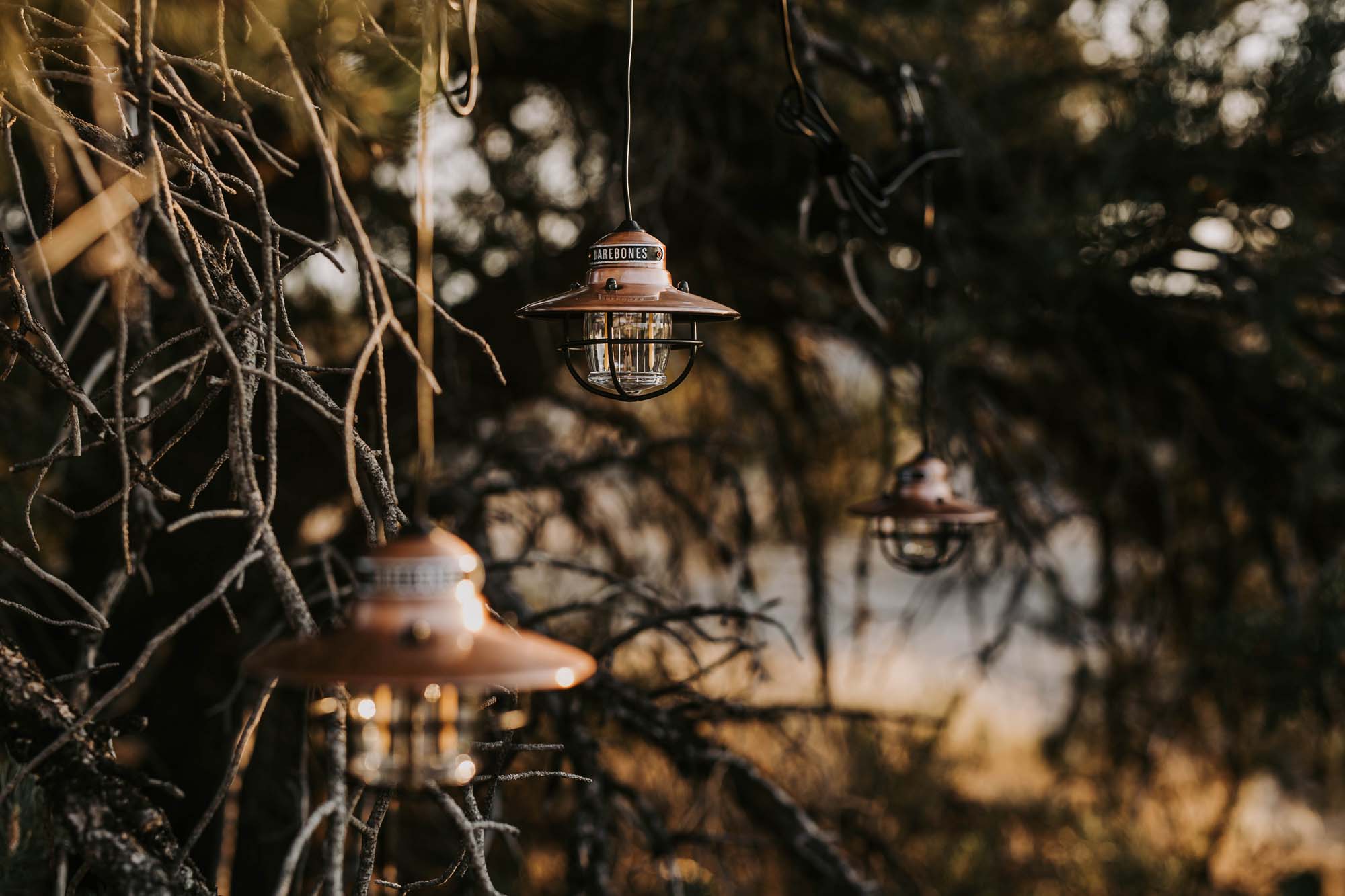 BAREBONES Edison String Light