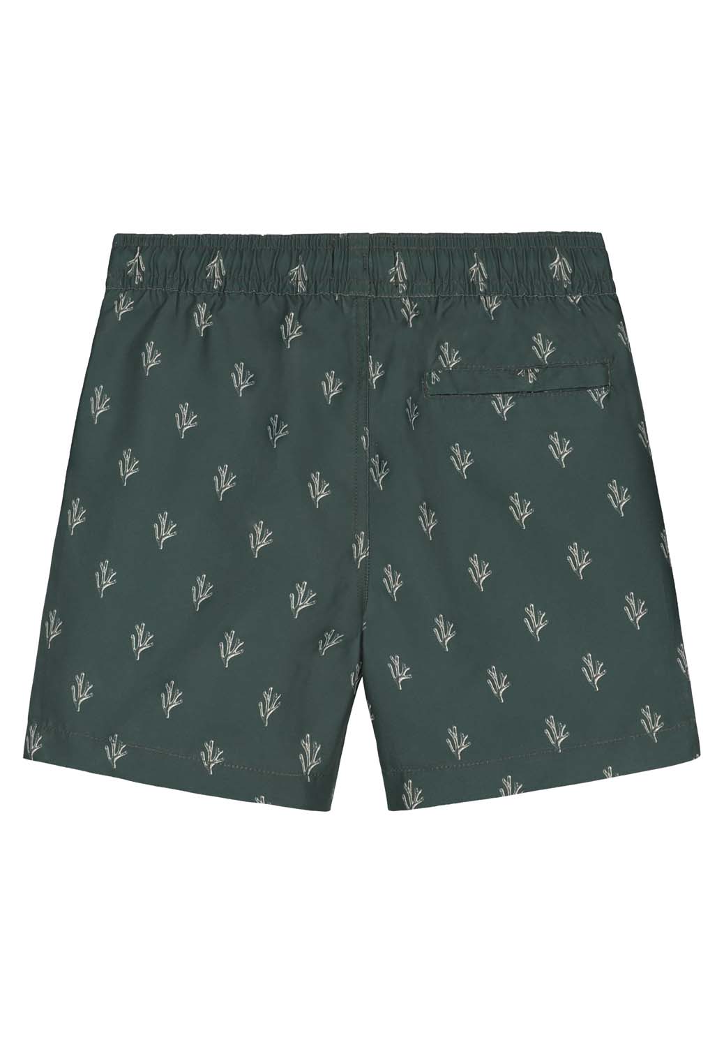 SHIWI Milo Zwembroek Heren