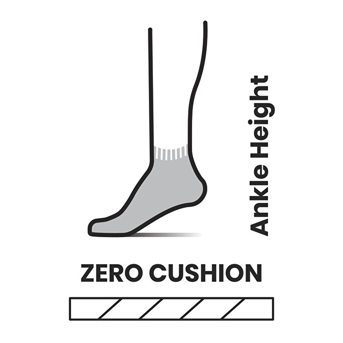 Smartwool Hike Zero Cushion Ankle Socks