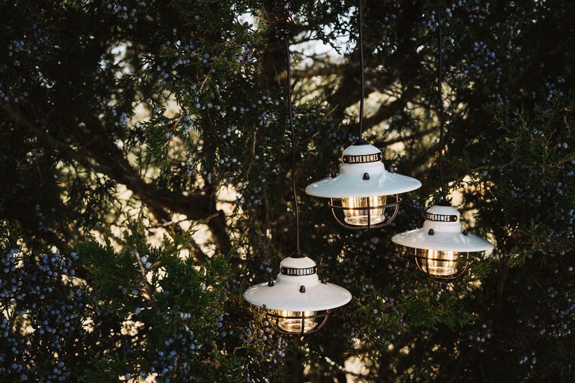 BAREBONES Edison String light BAREBONES Edison String light