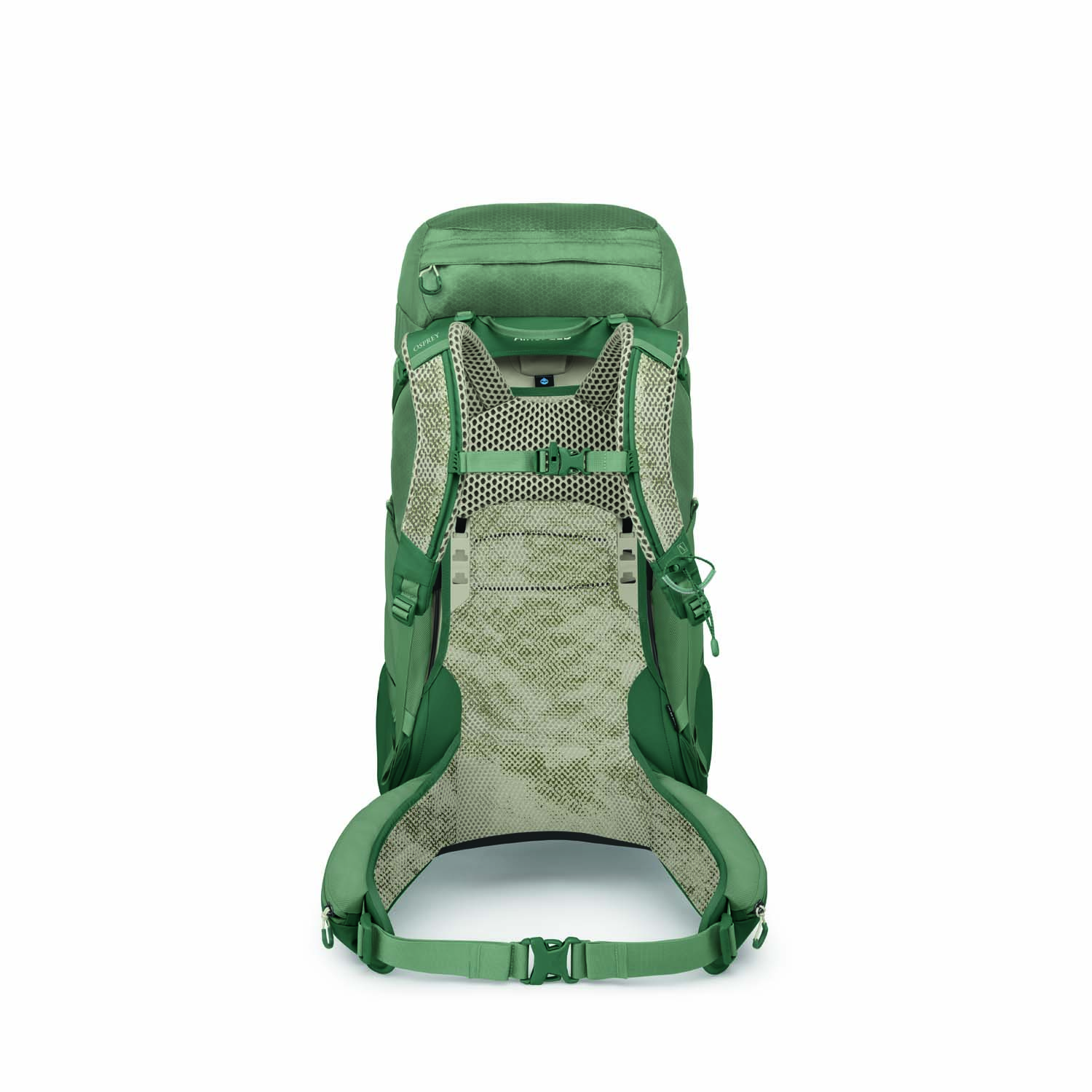Stratos44 s26 back pineleafgreen 10007536