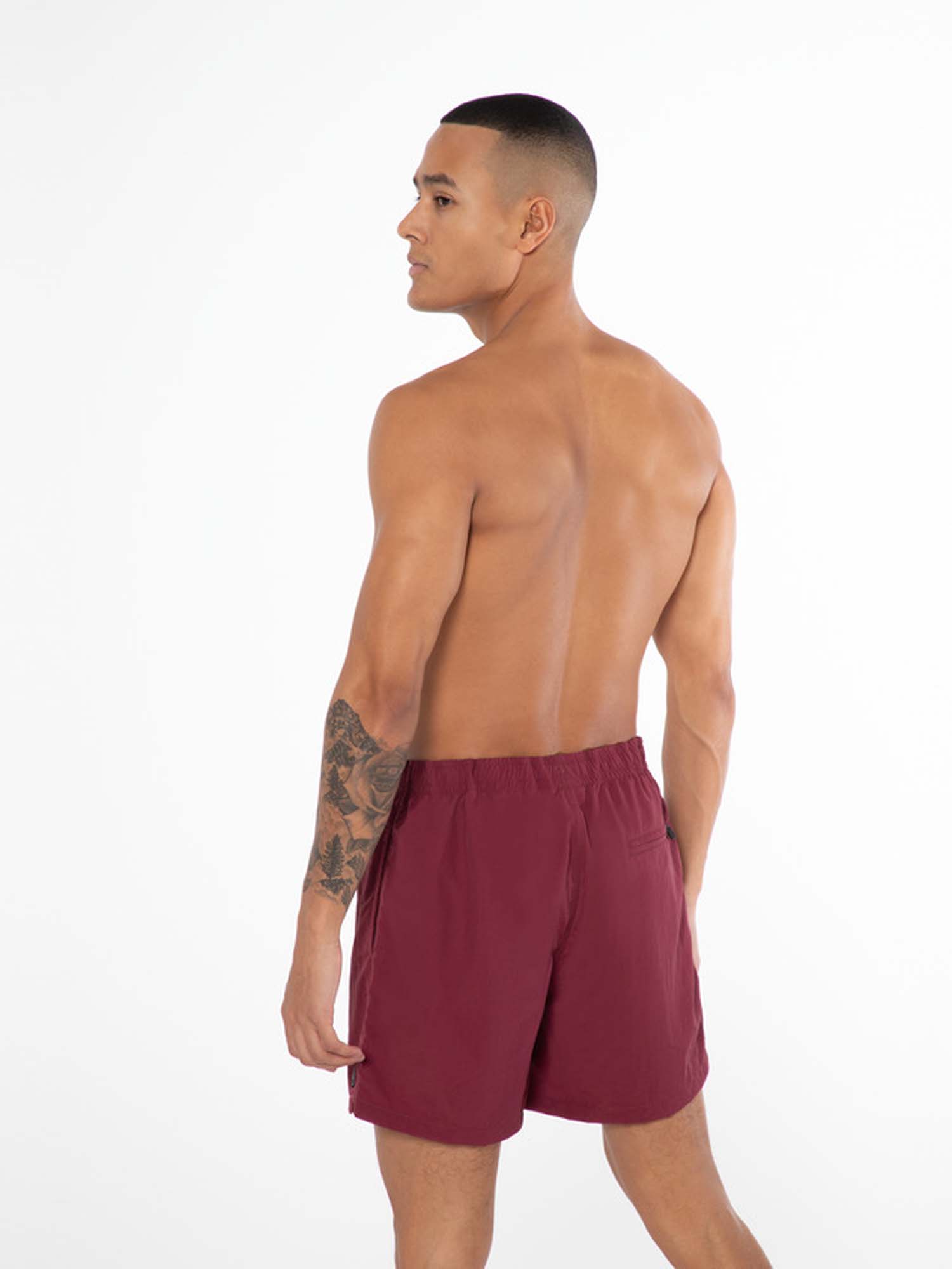 2711100 379 model back half 01 web