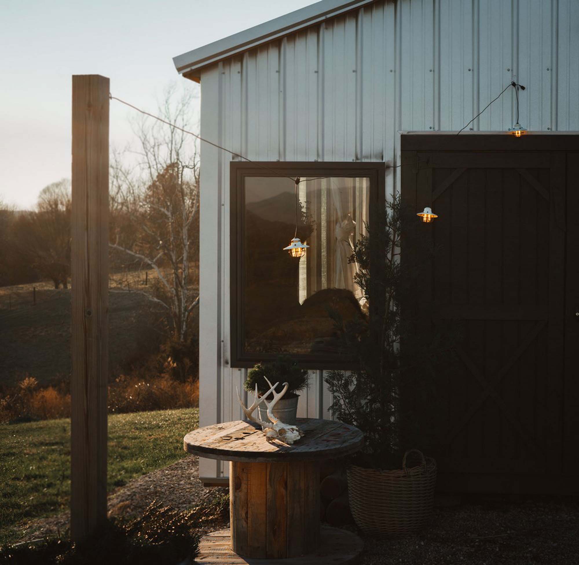 BAREBONES Edison String light