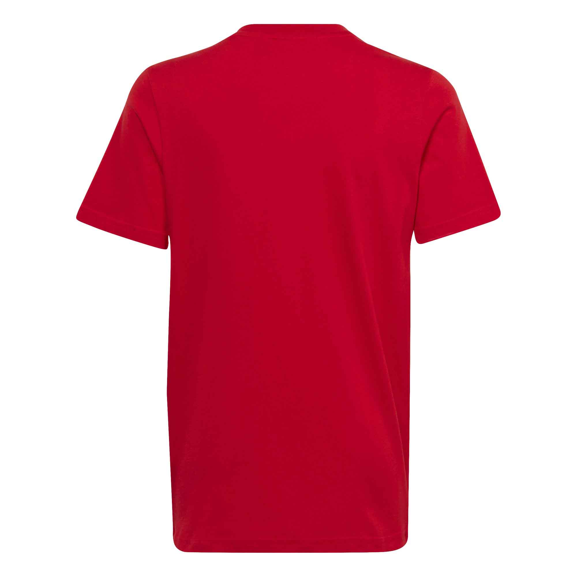 ADIDAS Essentials Big Logo Katoenen+AG9