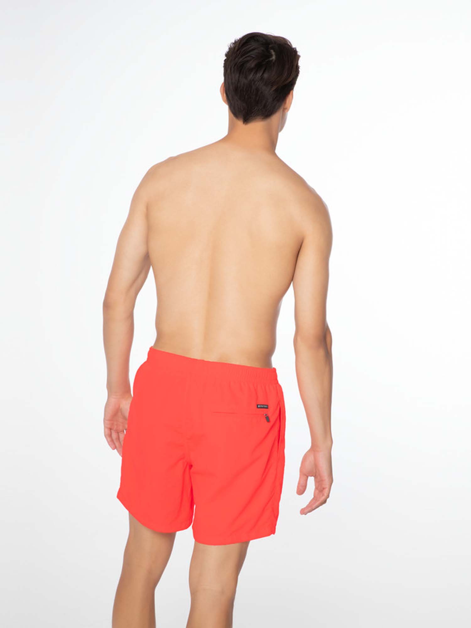 2711100 733 model back half 01 web