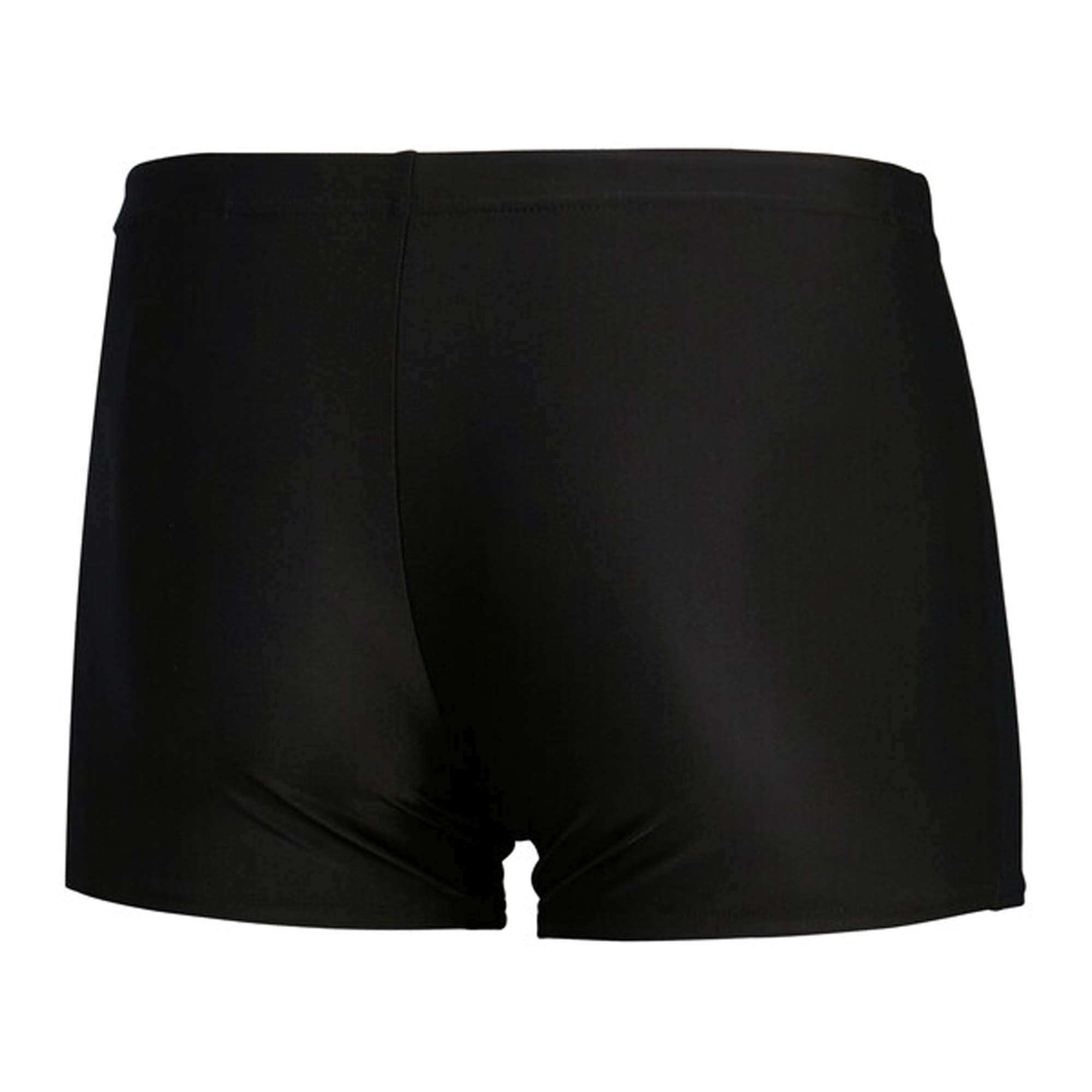 SPEEDO Eco Medley Logo Aqsh Zwembroek  Heren