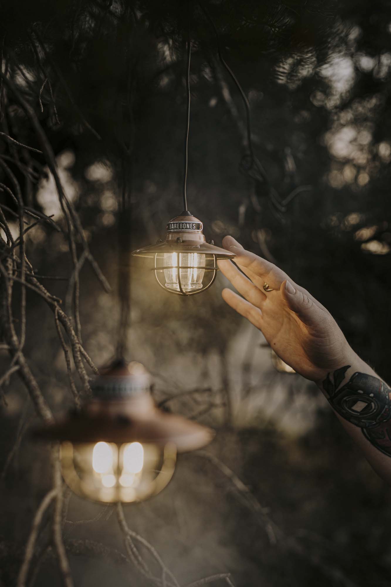 BAREBONES Edison String Light BAREBONES Edison String Light