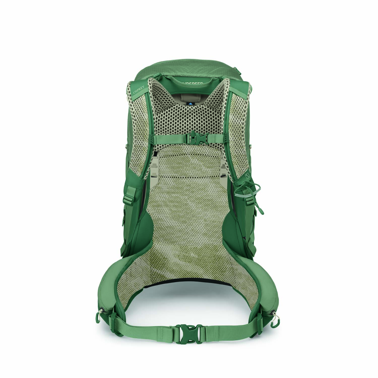 Stratos34 s26 back pineleafgreen 10007531