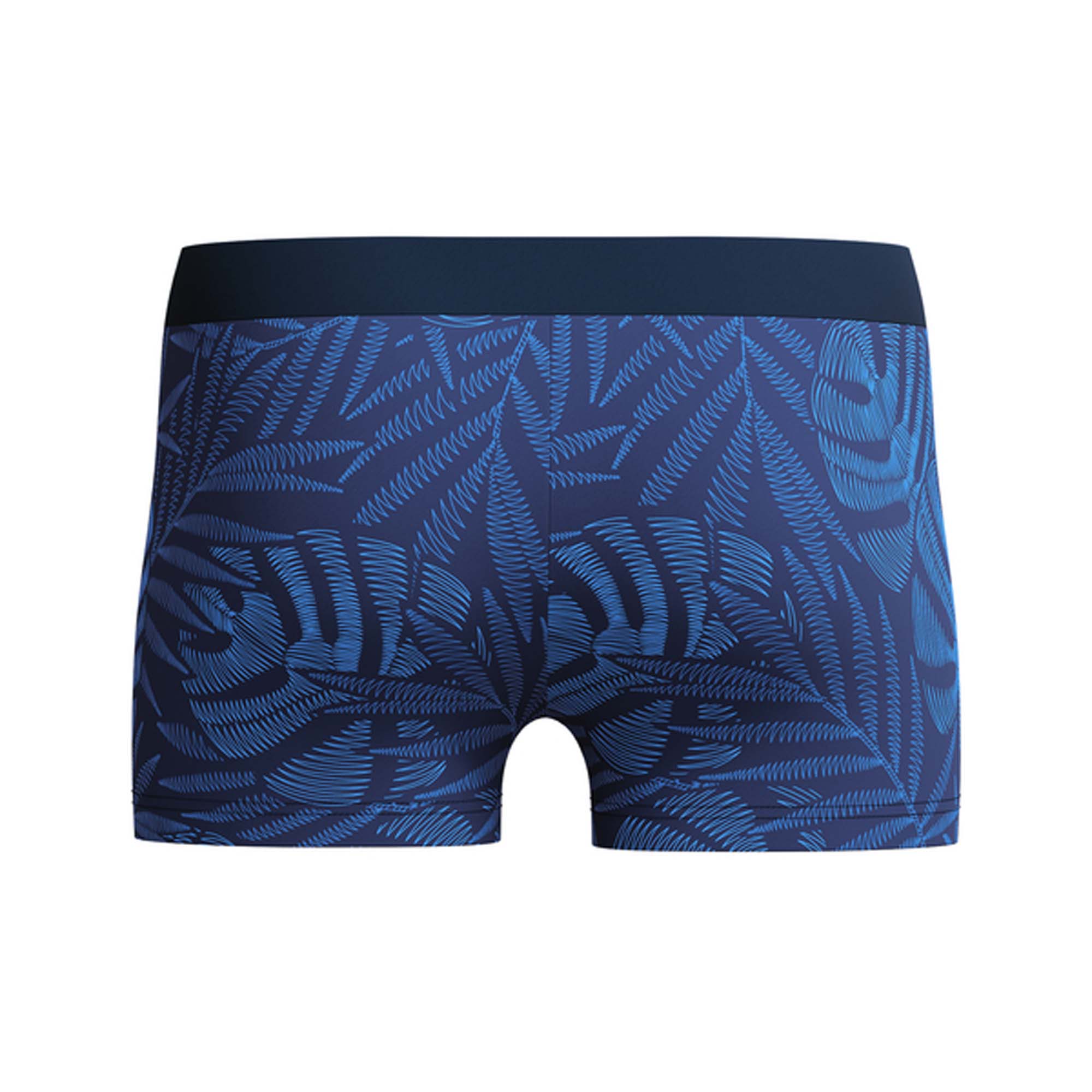 SPEEDO Eco Valmilton Leaf Zwembroek  Heren