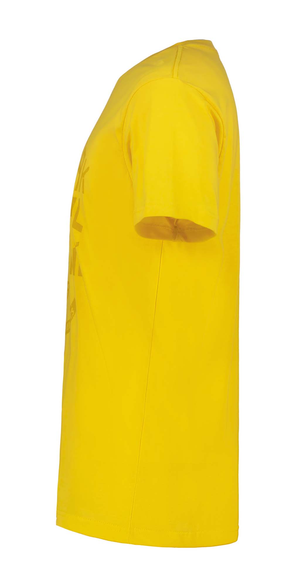 ICEPEAK Mosbach T-shirt Heren