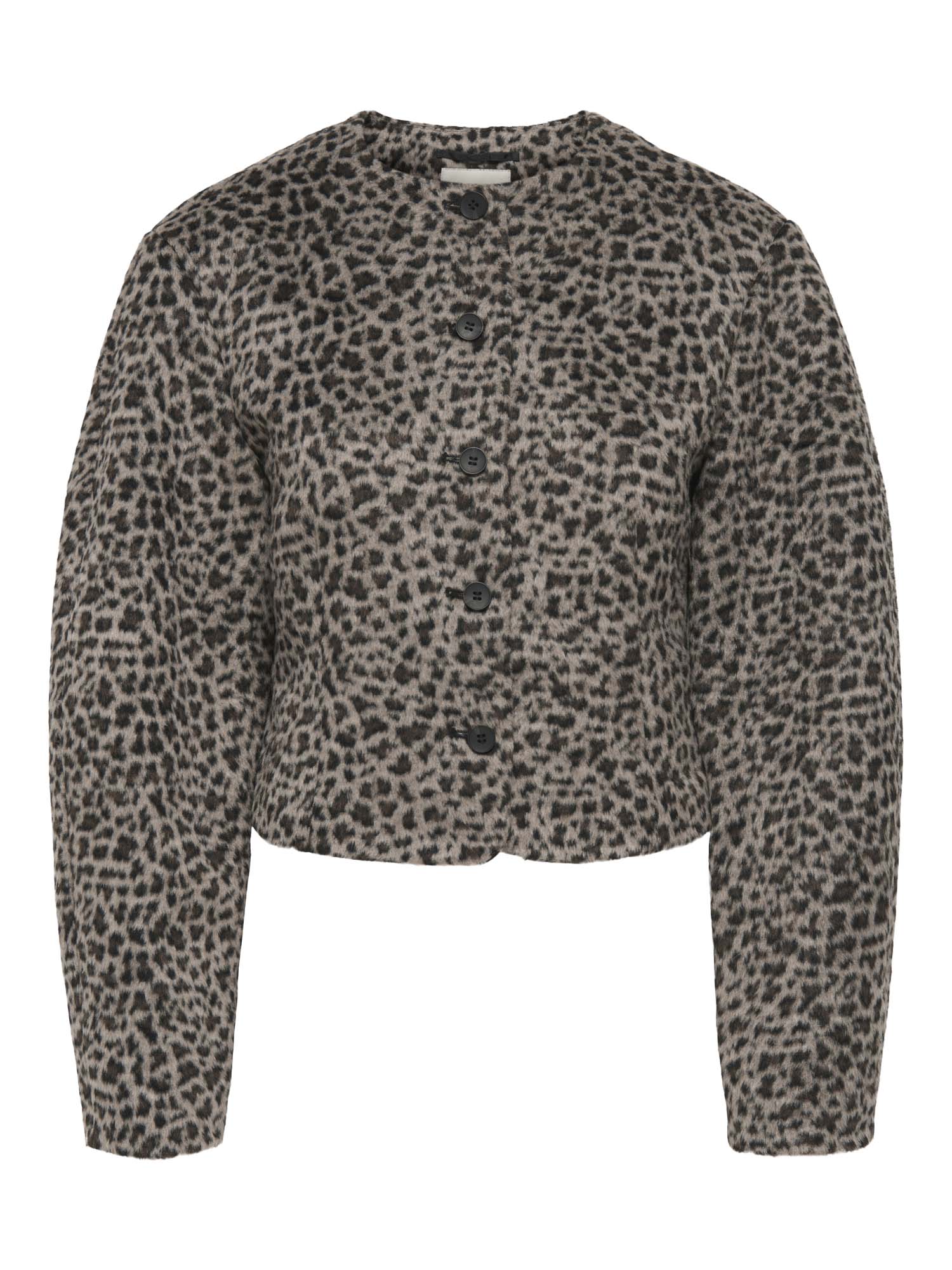 Jdy fallwinter2025 4815498 15353982