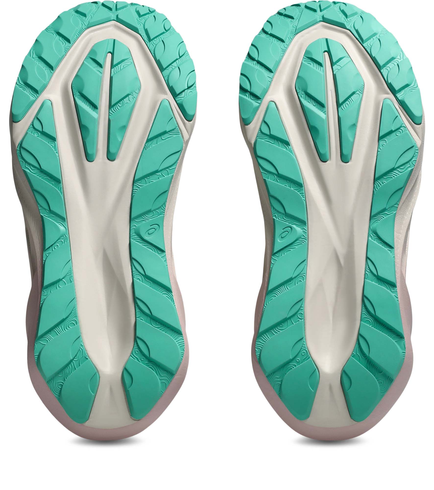 ASICS Novablast 5 TR Hardloopschoenen Dames