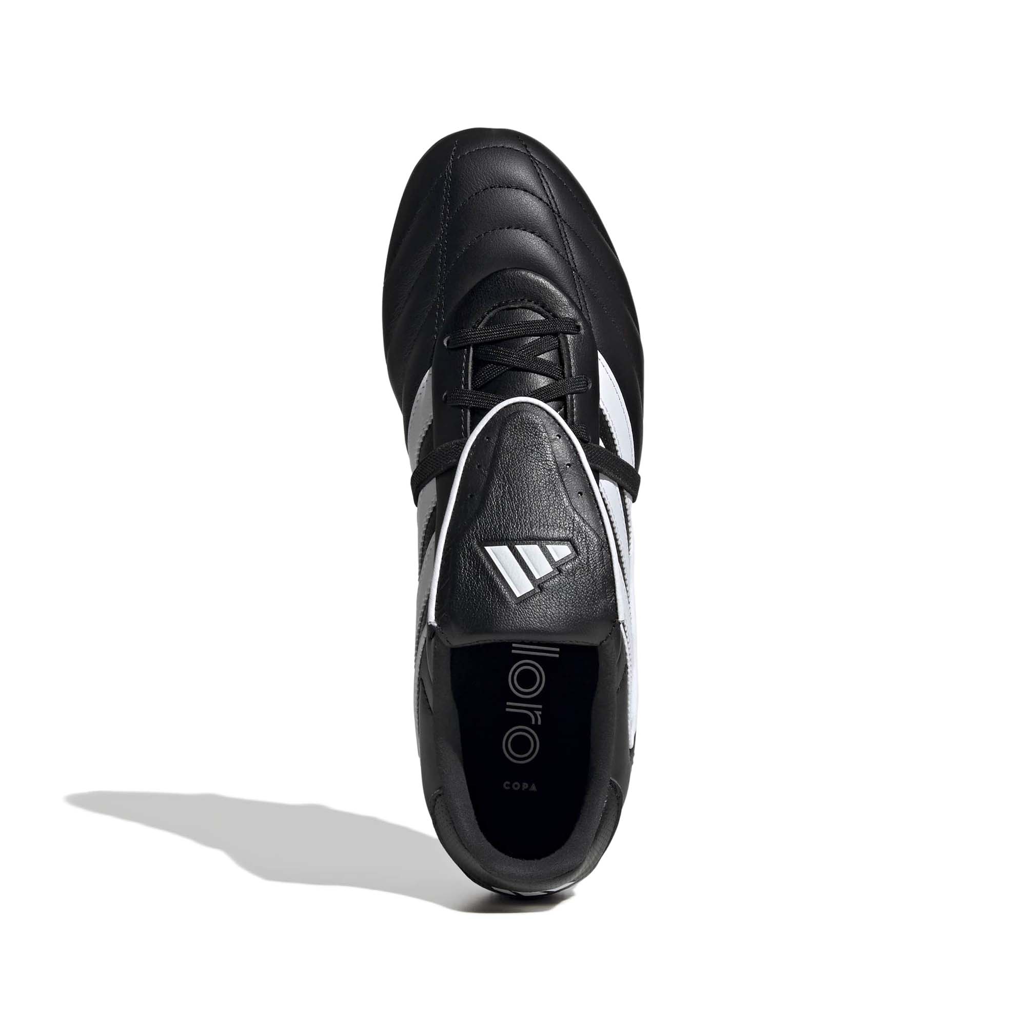 Ig8740 2 footwear photography top portrait view white