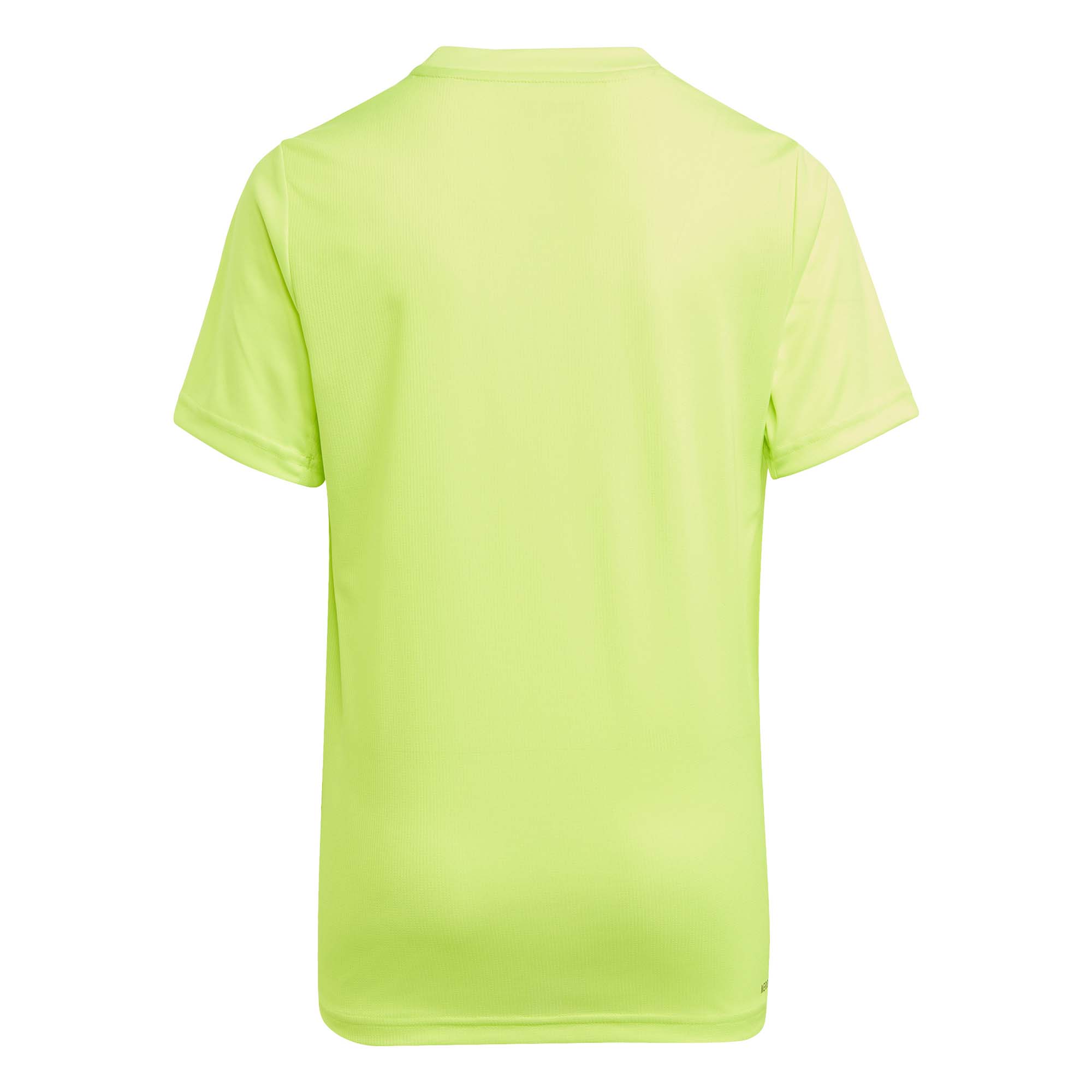 ADIDAS T-shirt Groen  Heren