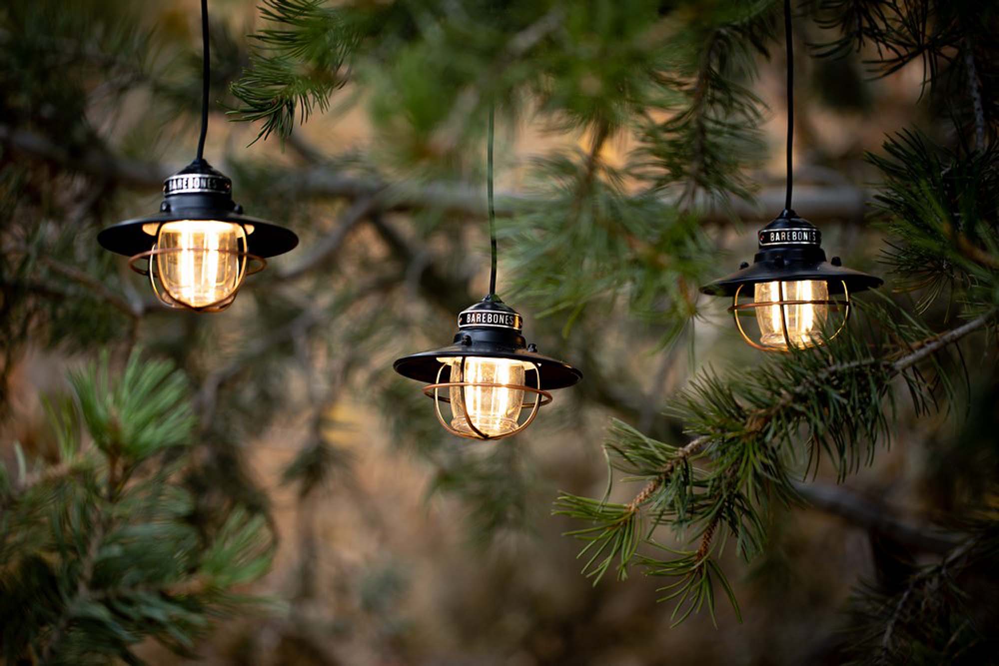 BAREBONES Edison String light BAREBONES Edison String light