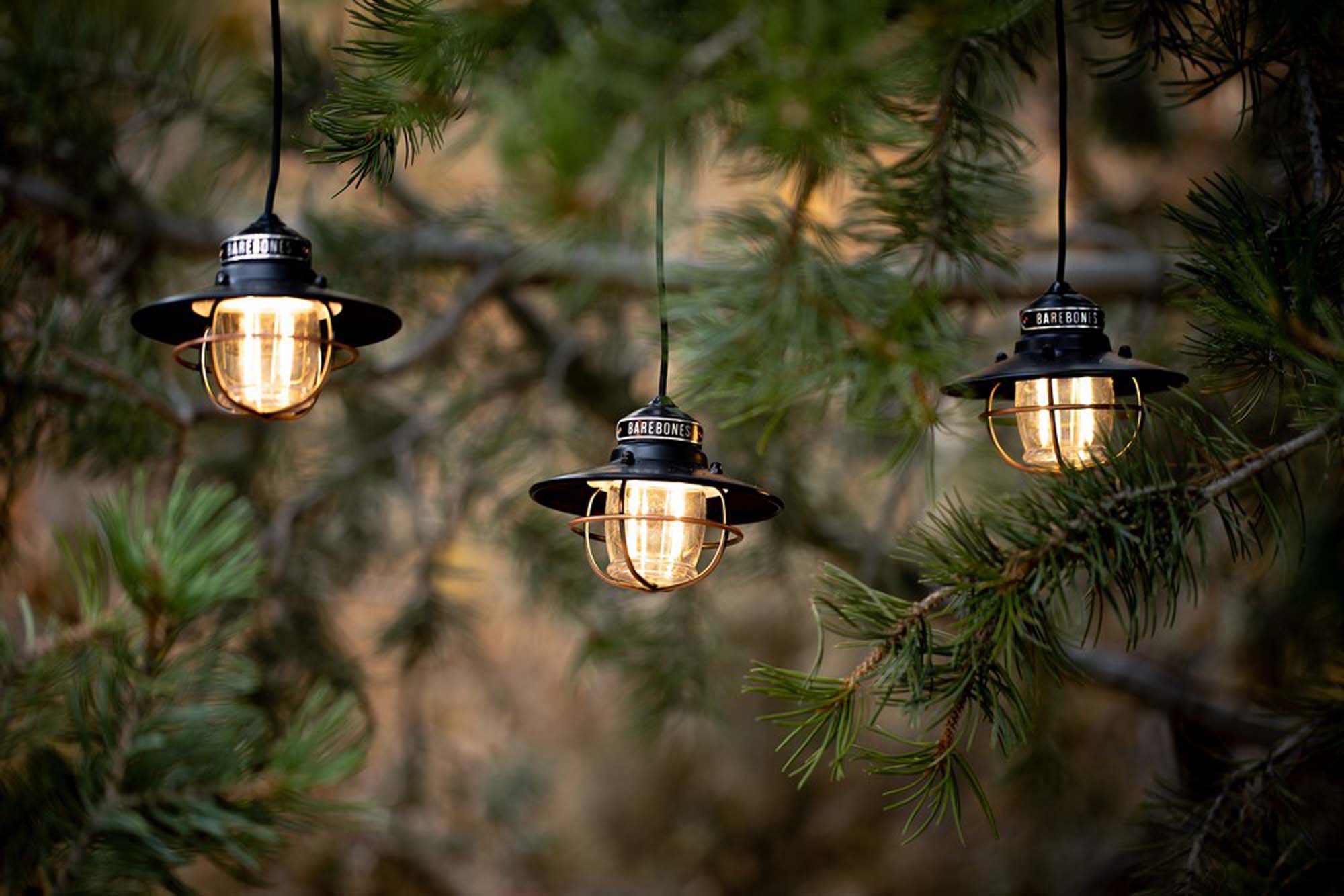 BAREBONES Edison String light