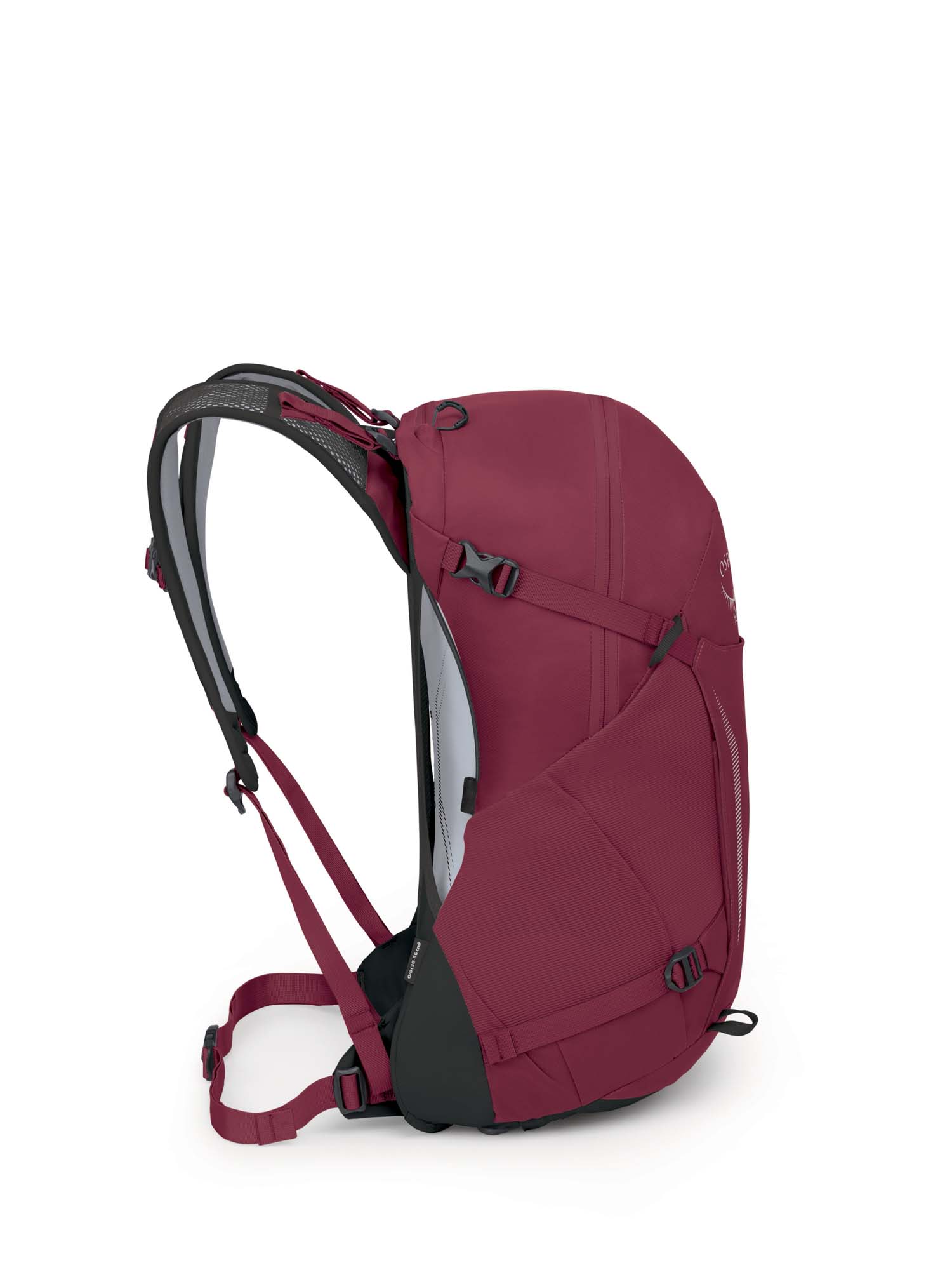 OSPREY Hikelite 26 Dagrugzak