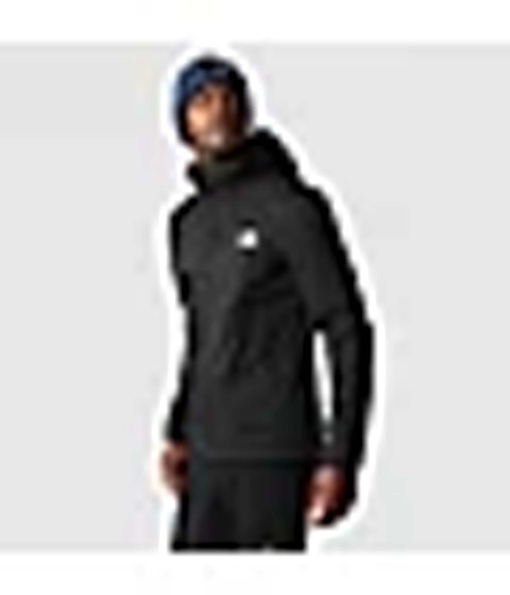 THE NORTH FACE quest hooded softshell