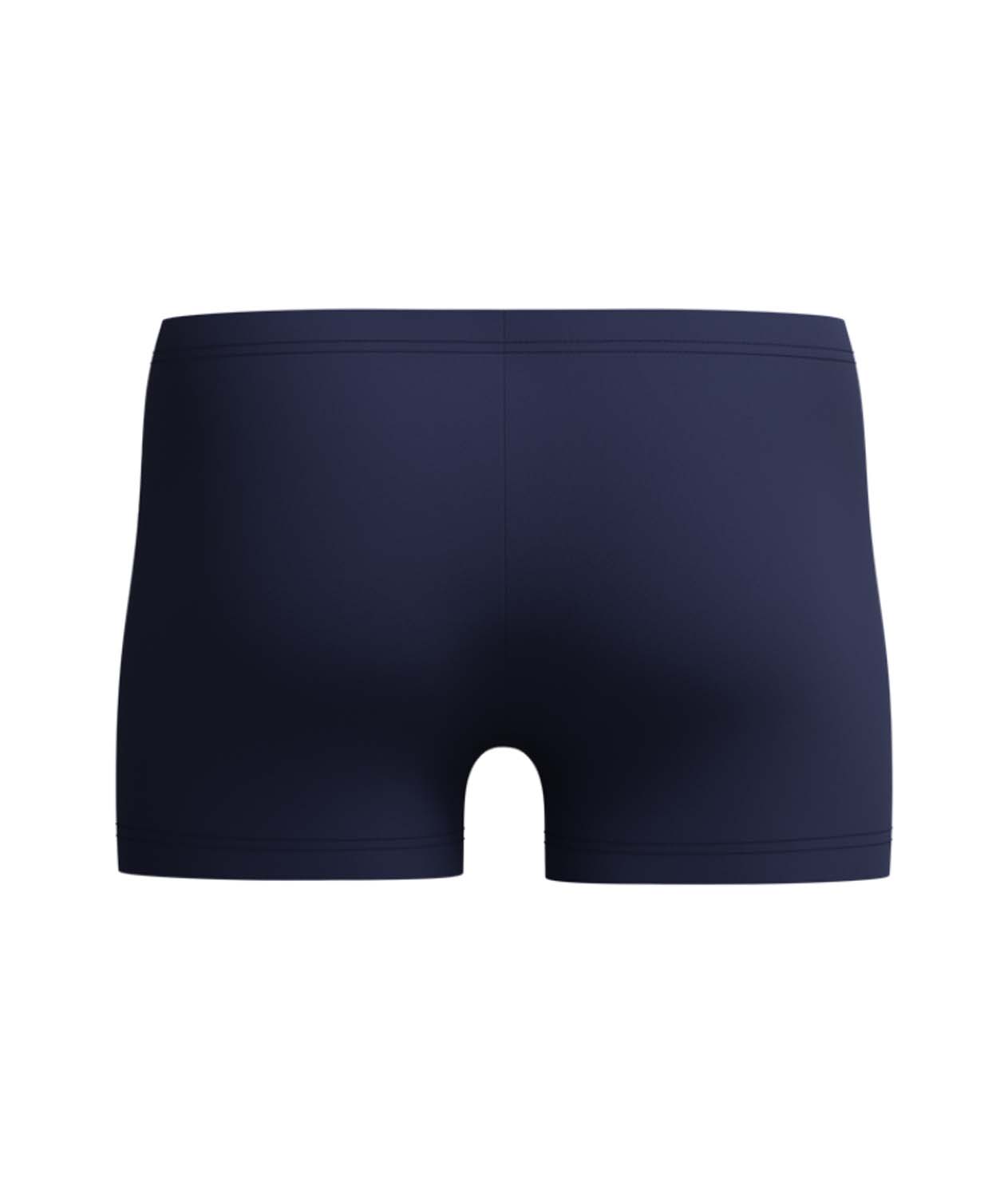 SPEEDO Medley Logo Aqsh Zwemshort Heren