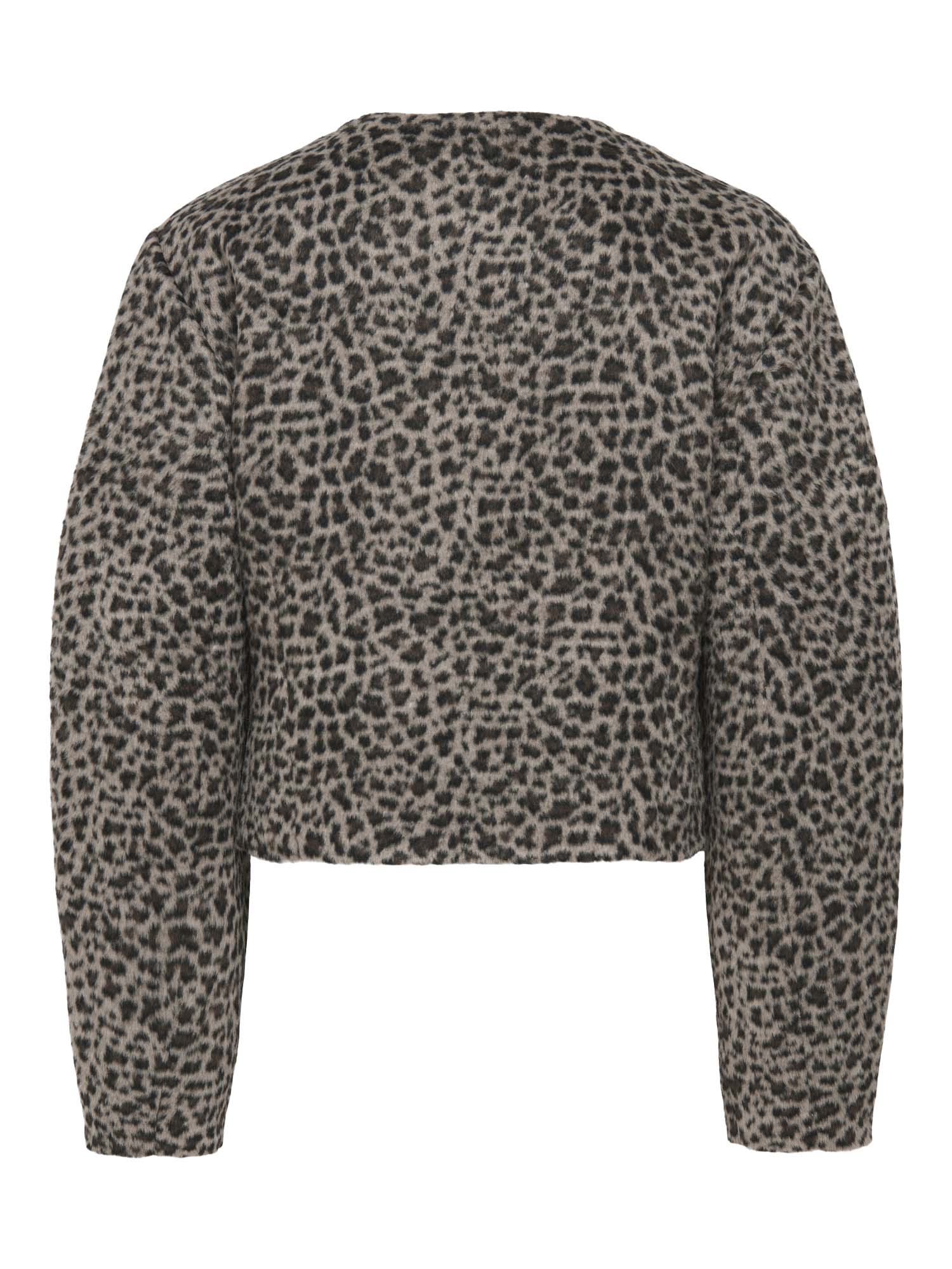 Jdy fallwinter2025 4815498 15353982 2