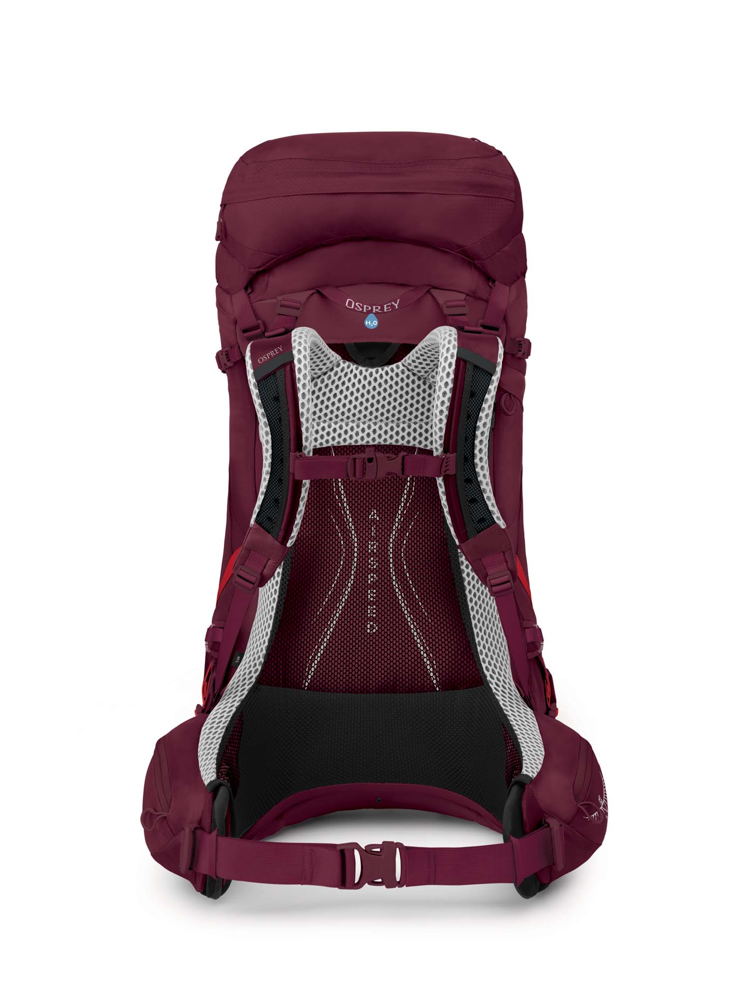 Auraaglt50 s23 back antidotepurple