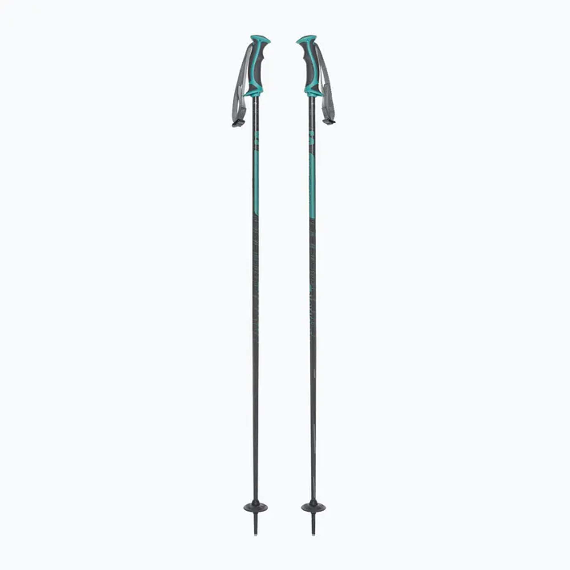 SALOMON Poles arctic